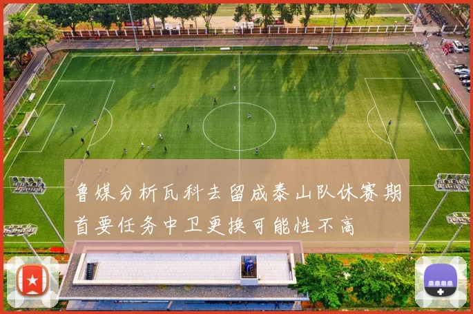鲁媒分析瓦科去留成泰山队休赛期首要任务中卫更换可能性不高