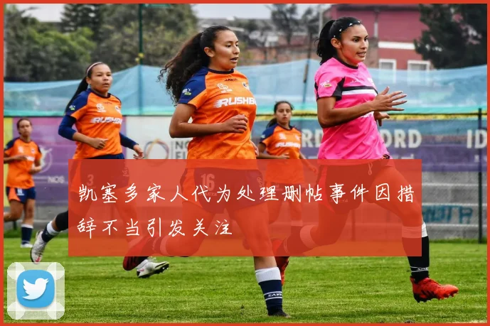 凯塞多家人代为处理删帖事件因措辞不当引发关注