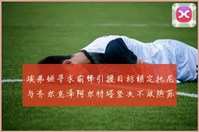 埃弗顿寻求前锋引援目标锁定托尼与齐尔克泽阿尔特塔坚决不放热苏斯